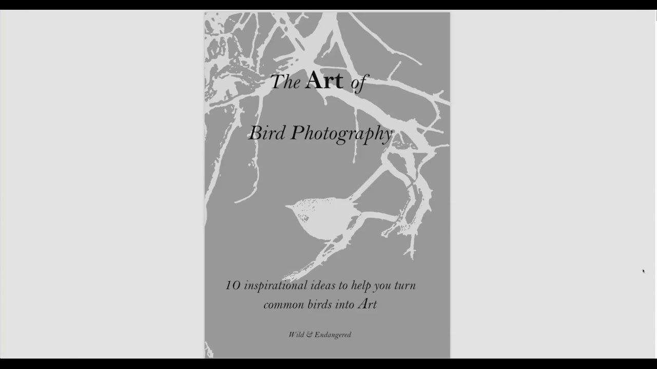 the art of bird photography torrent
